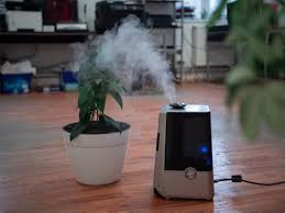 room humidifier near a plant pot
