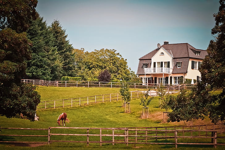 A beautiful farmhouse surrounded by trees with a horse grazing in the lawn