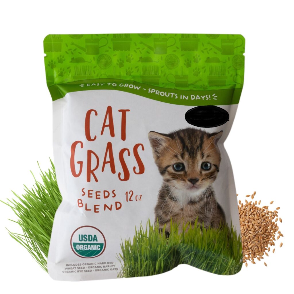 Cat grass to save cats from snake plants' toxicity