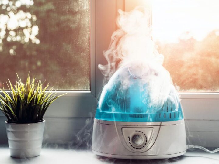 What Does a humidifier do?