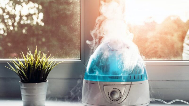 What Does a humidifier do?