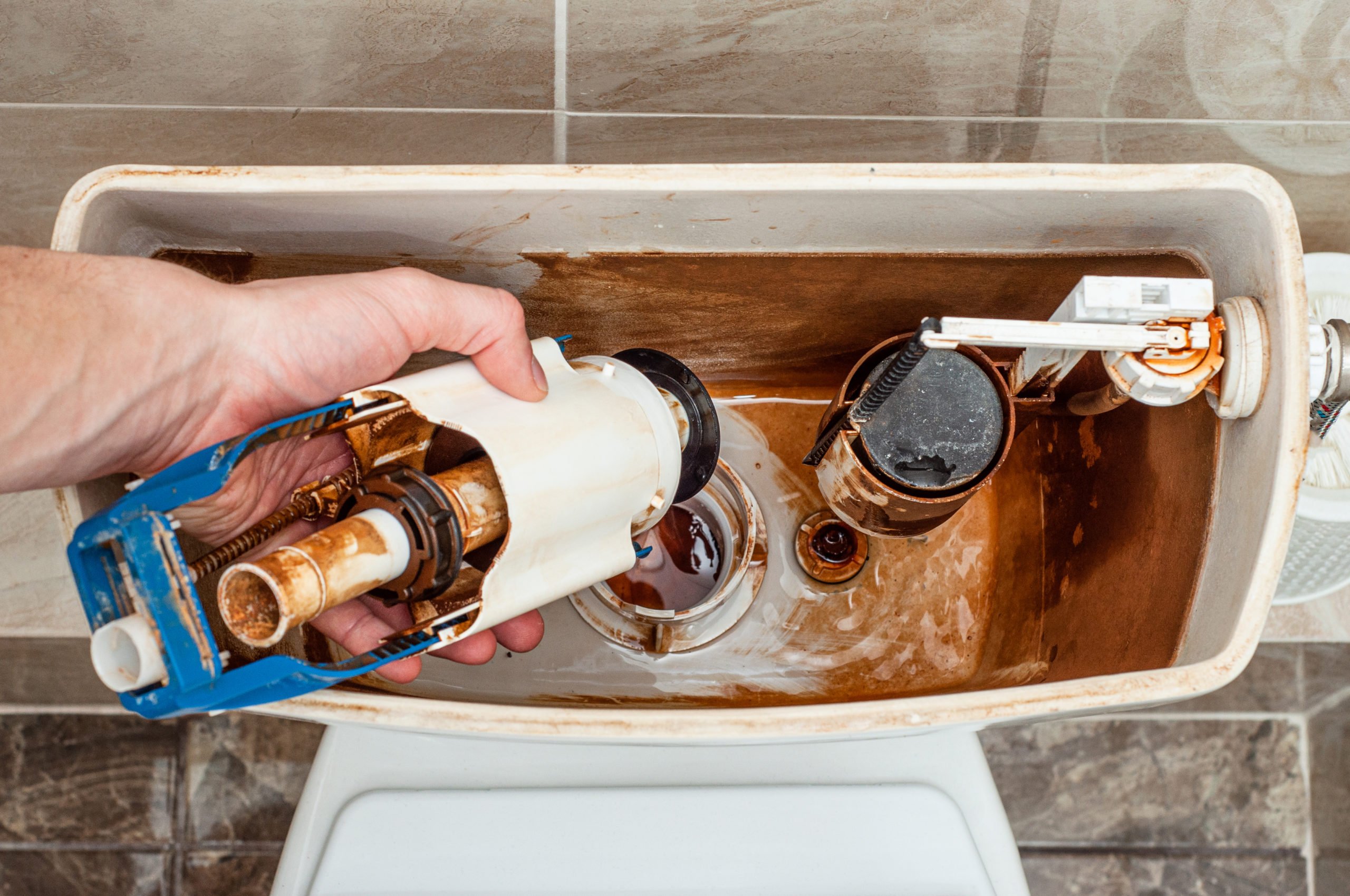 Flush Valve Seal Replacement: A Simple Guide to Fixing a Running Toilet