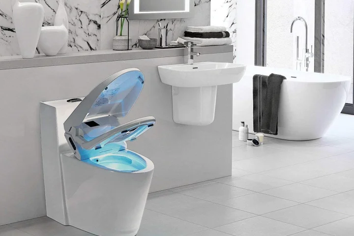 Japanese Bidet Toilets: The Ultimate Guide to Comfort and Hygiene