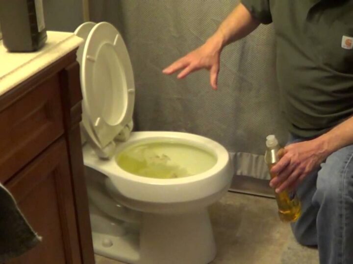 How to Unclog a Toilet Without a Plunger?