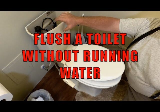 How To Flush Toilet When Water Is Off?